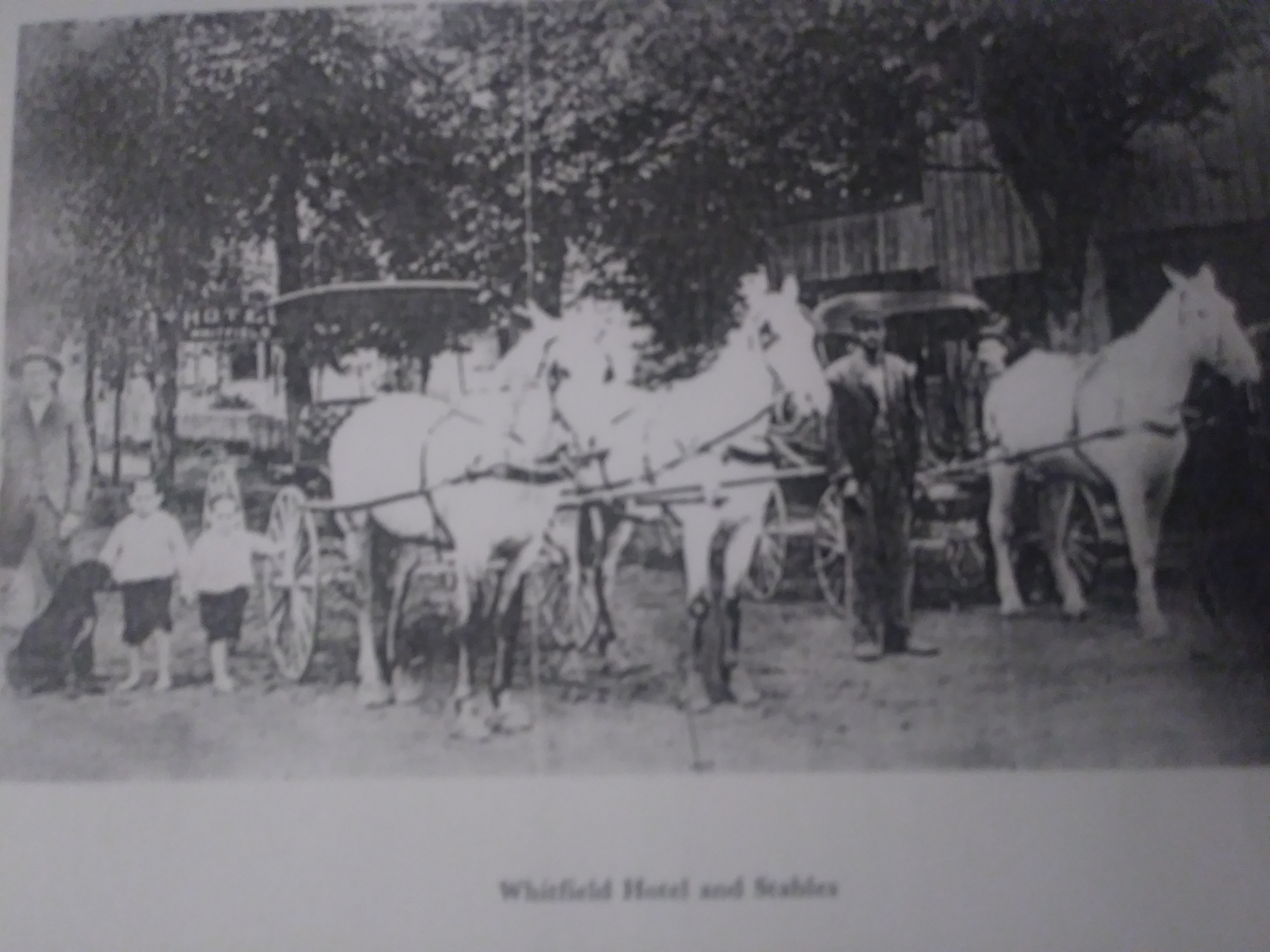 Whitfield Hotel